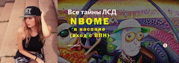 амф Краснослободск