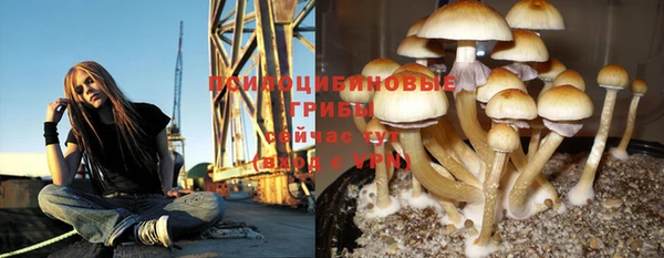 экстази Красноперекопск