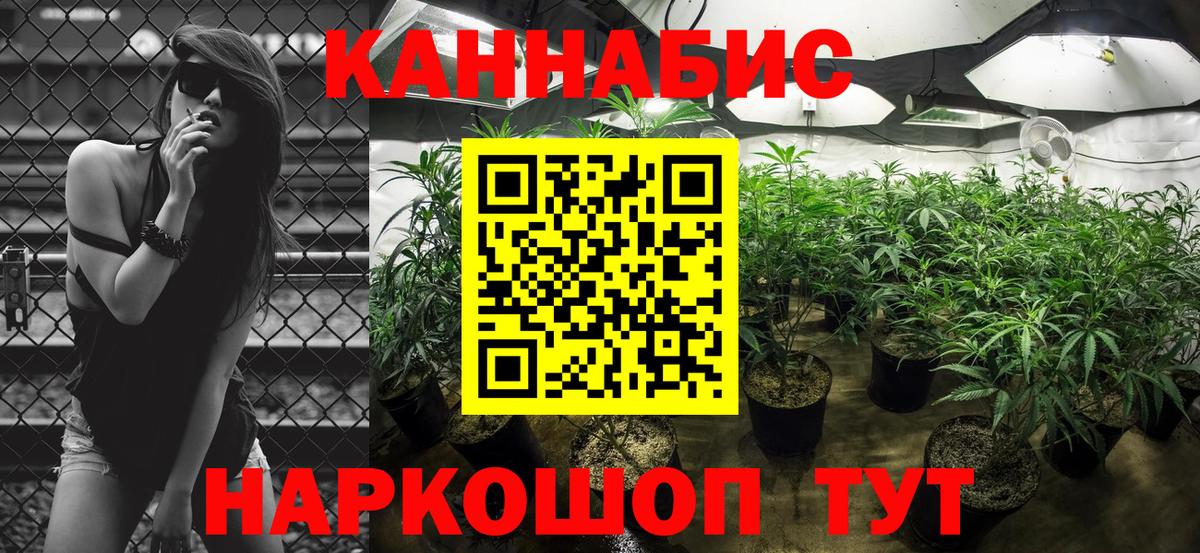 Канабис планчик  Вход с VPN  Бошки марихуана MAZAR  Шишки марихуана конопля  Майский 